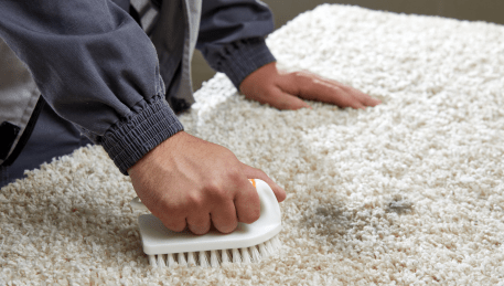 Professional Rug Cleaning Arthurs Creek