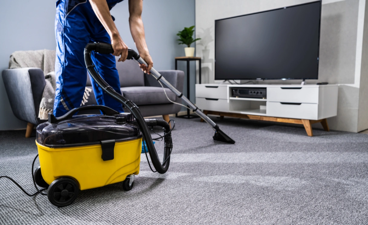 Extract Rug Cleaning Arthurs Creek Contact Office
